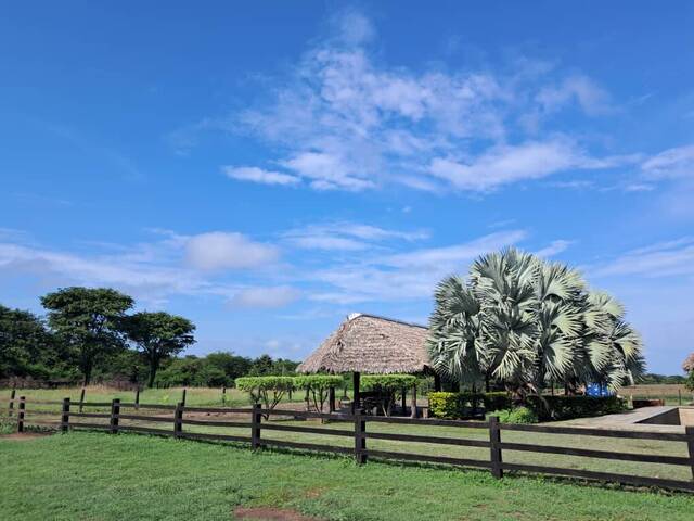 #47 - Granja  Finca para Venta en El Sombrero - J - 3