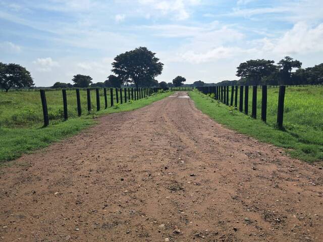 #47 - Granja  Finca para Venta en El Sombrero - J - 2